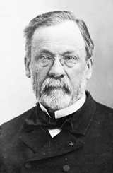 LOUIS PASTEUR (1822 - 1895)